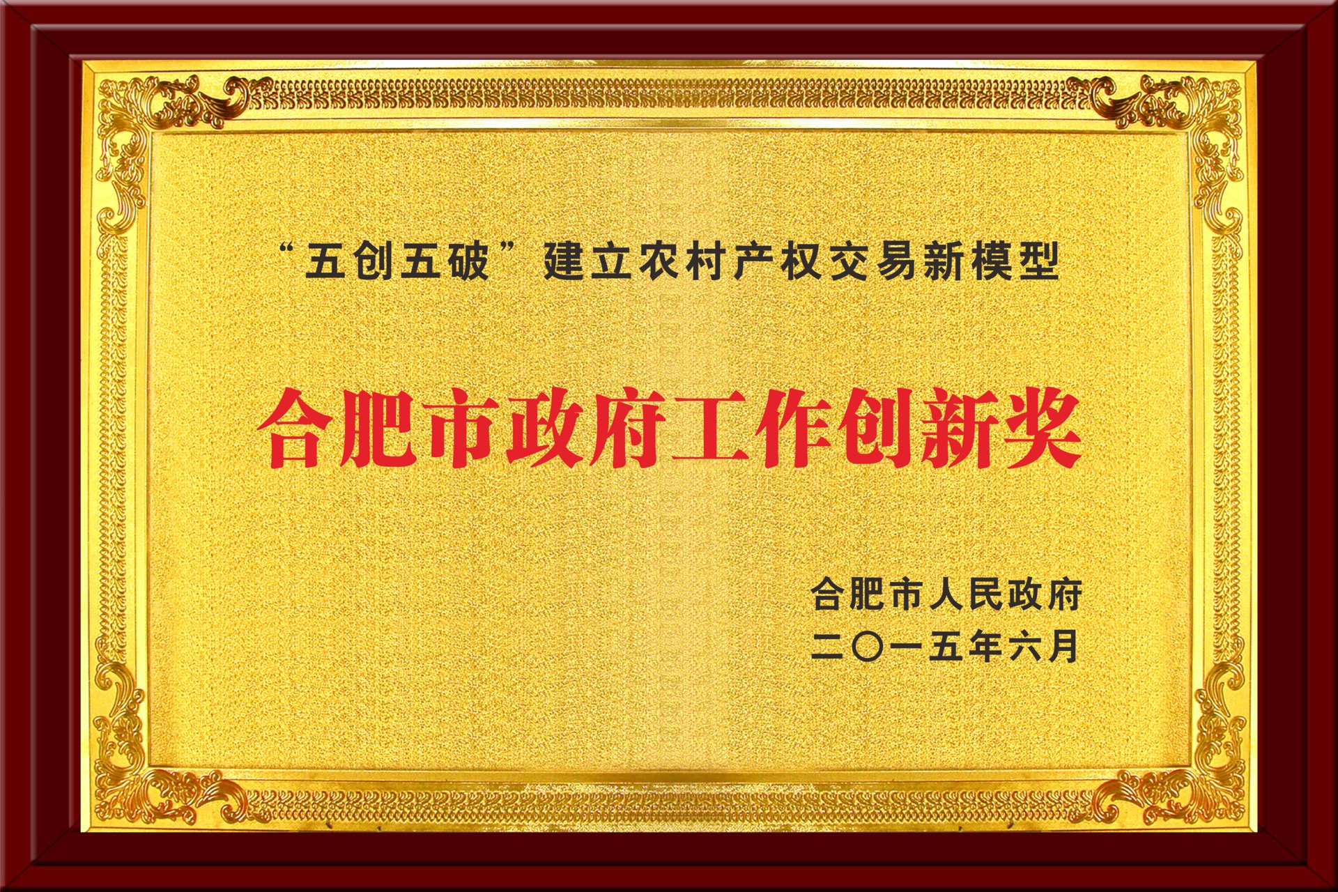 合肥市政府工作創(chuàng)新獎